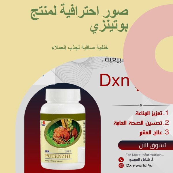 ⁦بوتينزي DXN⁩ - الصورة ⁦4⁩